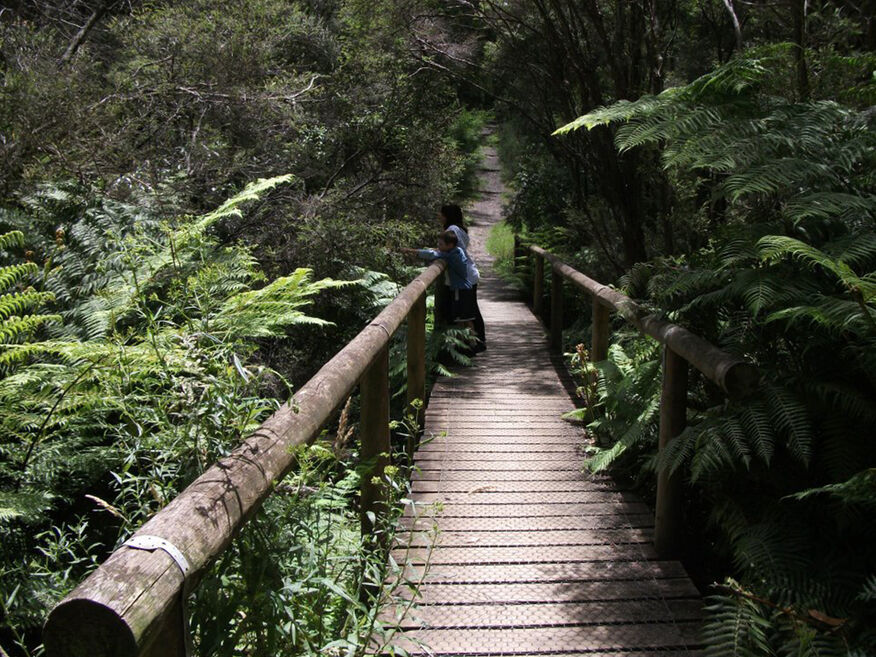 Edward Hunter Heritage Bush Reserve