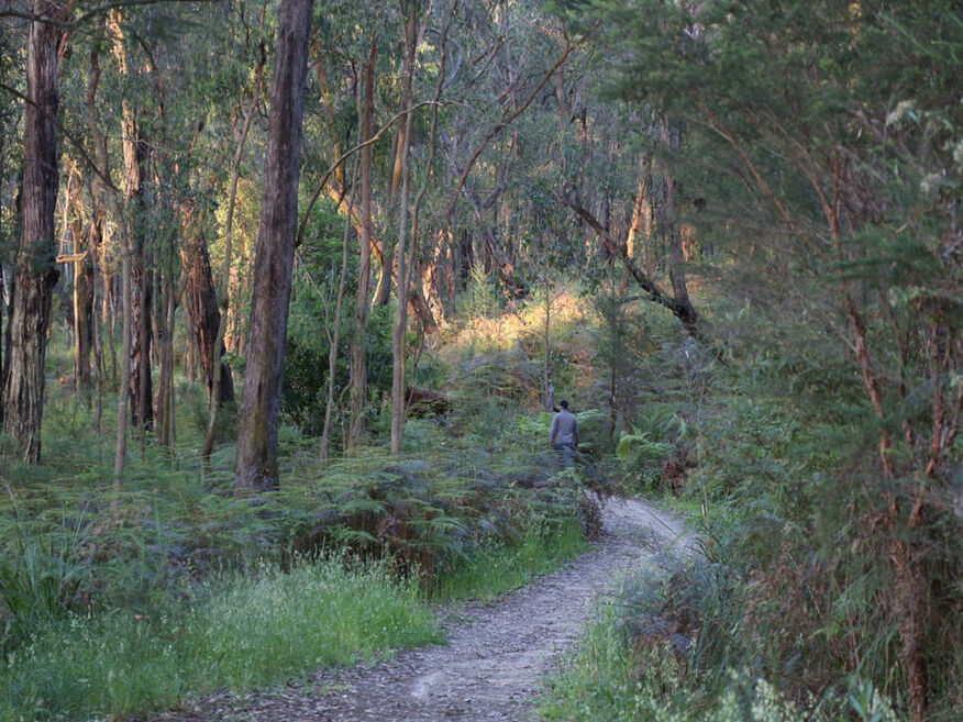 Edward Hunter Heritage Bush Reserve