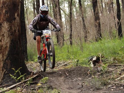 Erica Mountain Bike Park