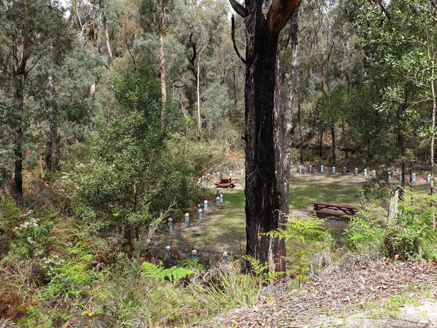 Grand Ridge Rail Trail Mirboo north  Boolara