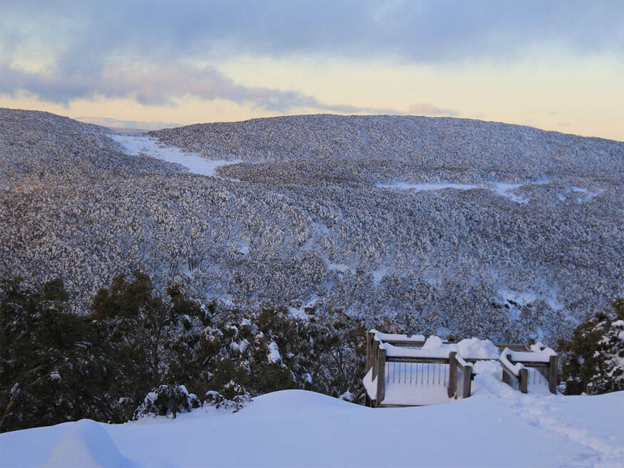 Mount Baw Baw Alpine Resort