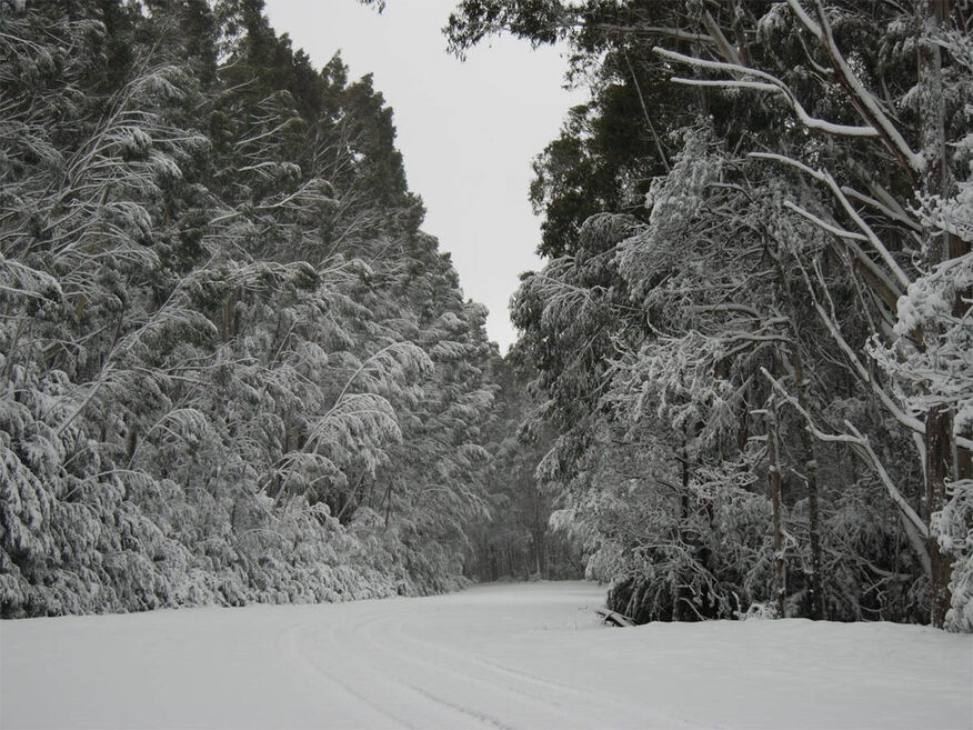 Mount St Gwinear cross country skiing and toboganing