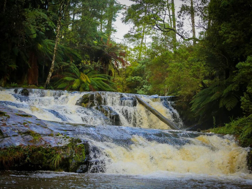 Narracan Falls