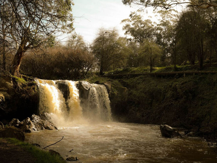 Narracan Falls