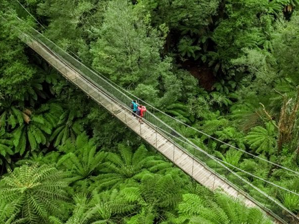 Tarra Bulga National Park